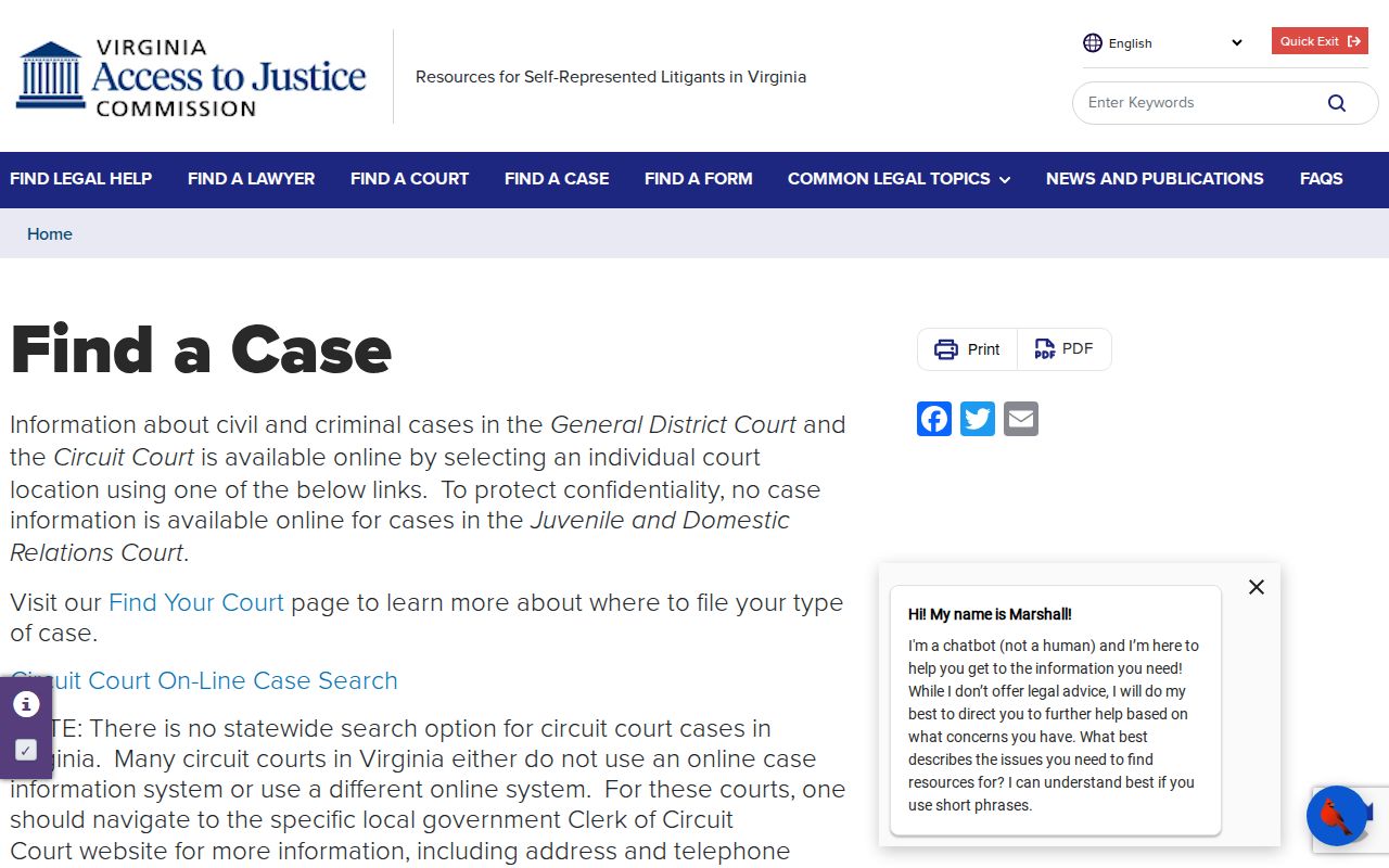 Virginia guidance for Campbell County court case search coverage